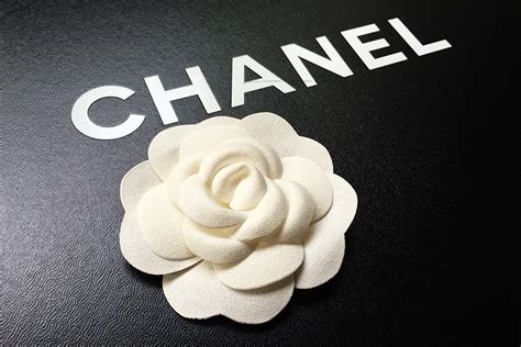 camelia chanel